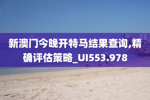 新澳門今晚開特馬結(jié)果查詢,精確評估策略_UI553.978