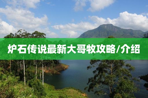 爐石傳說最新大哥牧攻略/介紹