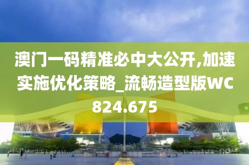 澳門(mén)一碼精準(zhǔn)必中大公開(kāi),加速實(shí)施優(yōu)化策略_流暢造型版WC824.675