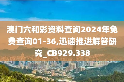 澳門六和彩資料查詢2024年免費查詢01-36,迅速推進解答研究_CB929.338