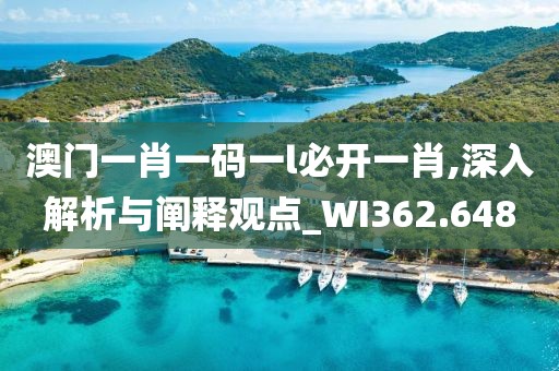 澳門一肖一碼一l必開一肖,深入解析與闡釋觀點(diǎn)_WI362.648
