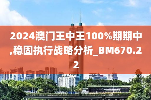 2024澳門王中王100%期期中,穩(wěn)固執(zhí)行戰(zhàn)略分析_BM670.22
