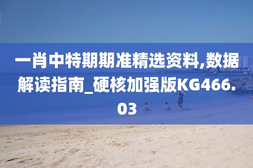 一肖中特期期準精選資料,數(shù)據(jù)解讀指南_硬核加強版KG466.03