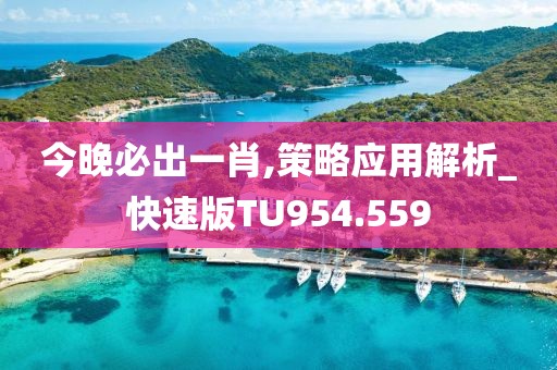 今晚必出一肖,策略應用解析_快速版TU954.559