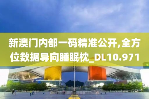 新澳門內(nèi)部一碼精準(zhǔn)公開,全方位數(shù)據(jù)導(dǎo)向睡眠枕_DL10.971