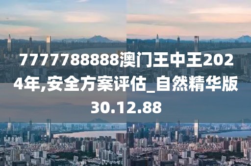 7777788888澳門王中王2024年,安全方案評估_自然精華版30.12.88
