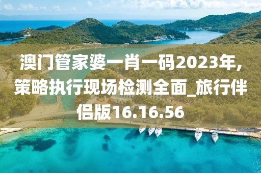 澳門管家婆一肖一碼2023年,策略執(zhí)行現(xiàn)場檢測全面_旅行伴侶版16.16.56