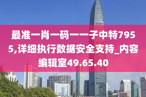 最準一肖一碼一一子中特7955,詳細執(zhí)行數據安全支持_內容編輯室49.65.40