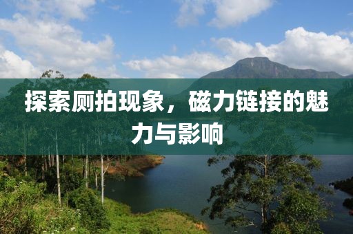 探索廁拍現(xiàn)象，磁力鏈接的魅力與影響