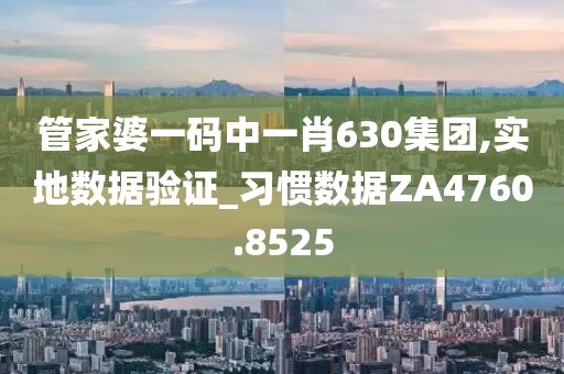 管家婆一碼中一肖630集團(tuán),實(shí)地?cái)?shù)據(jù)驗(yàn)證_習(xí)慣數(shù)據(jù)ZA4760.8525