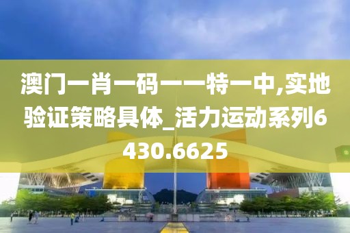 澳門一肖一碼一一特一中,實地驗證策略具體_活力運動系列6430.6625
