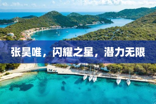 張昊唯，閃耀之星，潛力無限