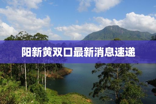 陽新黃雙口最新消息速遞