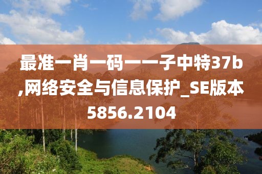 最準(zhǔn)一肖一碼一一子中特37b,網(wǎng)絡(luò)安全與信息保護(hù)_SE版本5856.2104