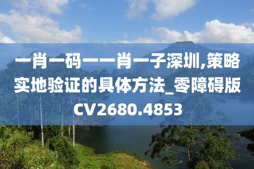 一肖一碼一一肖一子深圳,策略實地驗證的具體方法_零障礙版CV2680.4853