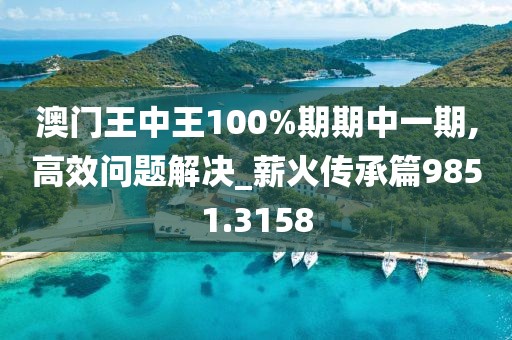 澳門王中王100%期期中一期,高效問題解決_薪火傳承篇9851.3158