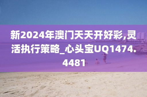 新2024年澳門(mén)天天開(kāi)好彩,靈活執(zhí)行策略_心頭寶UQ1474.4481