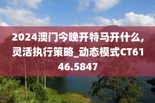 2024澳門今晚開特馬開什么,靈活執(zhí)行策略_動態(tài)模式CT6146.5847