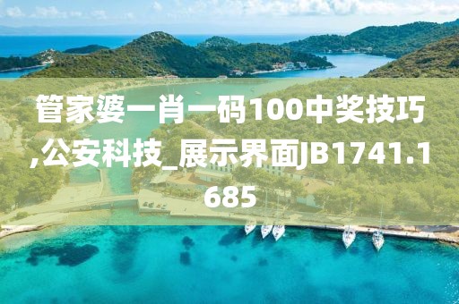 管家婆一肖一碼100中獎技巧,公安科技_展示界面JB1741.1685