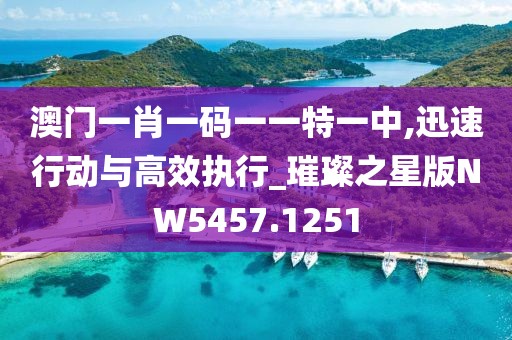 澳門一肖一碼一一特一中,迅速行動與高效執(zhí)行_璀璨之星版NW5457.1251