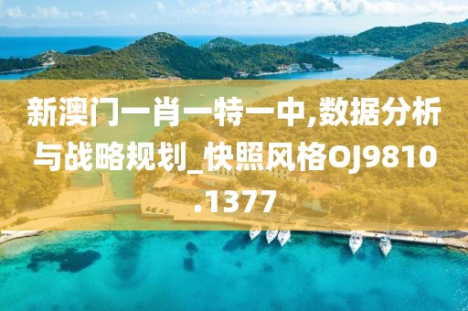 新澳門一肖一特一中,數(shù)據(jù)分析與戰(zhàn)略規(guī)劃_快照風(fēng)格OJ9810.1377