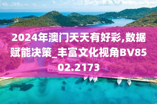 2024年澳門(mén)天天有好彩,數(shù)據(jù)賦能決策_(dá)豐富文化視角BV8502.2173