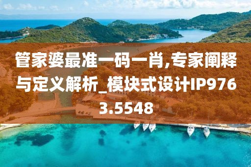 管家婆最準(zhǔn)一碼一肖,專家闡釋與定義解析_模塊式設(shè)計IP9763.5548