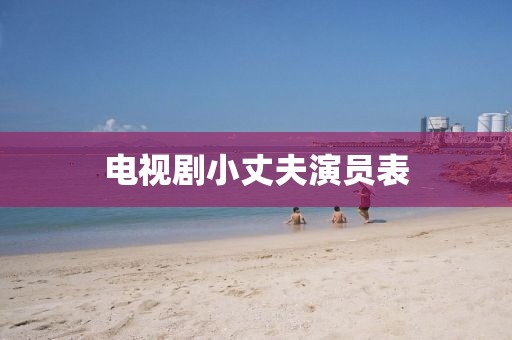 電視劇小丈夫演員表