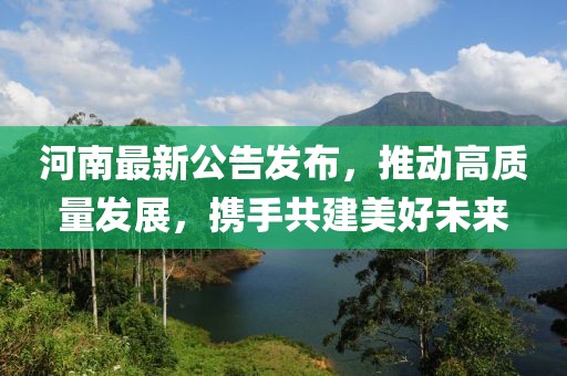 河南最新公告發(fā)布，推動高質(zhì)量發(fā)展，攜手共建美好未來