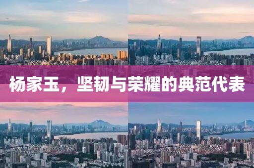 楊家玉，堅(jiān)韌與榮耀的典范代表