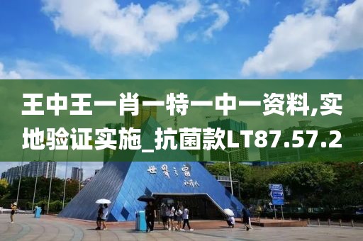 王中王一肖一特一中一資料,實地驗證實施_抗菌款LT87.57.20