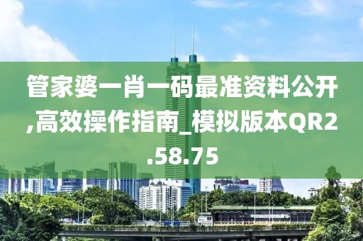管家婆一肖一碼最準(zhǔn)資料公開,高效操作指南_模擬版本QR2.58.75