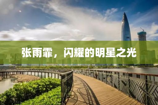 張雨霏，閃耀的明星之光