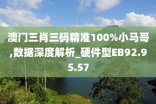 澳門三肖三碼精準(zhǔn)100%小馬哥,數(shù)據(jù)深度解析_硬件型EB92.95.57