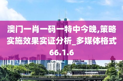 澳門一肖一碼一特中今晚,策略實施效果實證分析_多媒體格式66.1.6