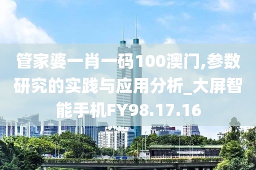 管家婆一肖一碼100澳門,參數(shù)研究的實踐與應用分析_大屏智能手機FY98.17.16
