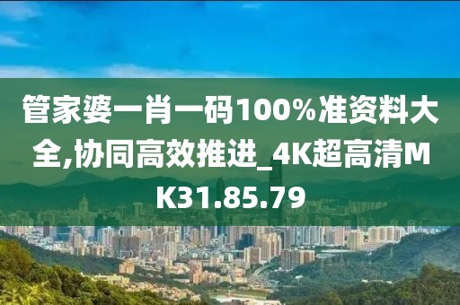 管家婆一肖一碼100%準(zhǔn)資料大全,協(xié)同高效推進(jìn)_4K超高清MK31.85.79