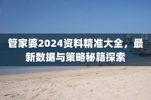 管家婆2024資料精準(zhǔn)大全，最新數(shù)據(jù)與策略秘籍探索