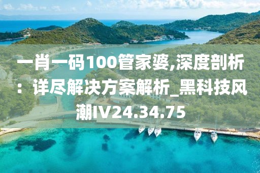 一肖一碼100管家婆,深度剖析：詳盡解決方案解析_黑科技風(fēng)潮IV24.34.75