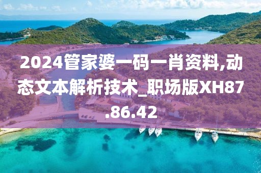 2024管家婆一碼一肖資料,動態(tài)文本解析技術_職場版XH87.86.42