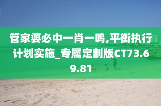 管家婆必中一肖一鳴,平衡執(zhí)行計(jì)劃實(shí)施_專屬定制版CT73.69.81