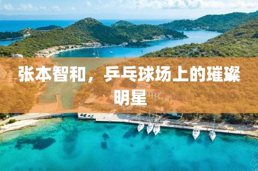 張本智和，乒乓球場(chǎng)上的璀璨明星