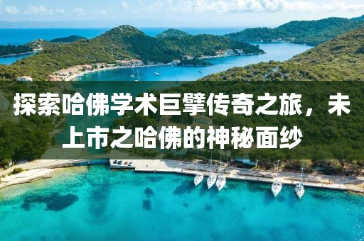 探索哈佛學(xué)術(shù)巨擘傳奇之旅，未上市之哈佛的神秘面紗