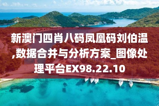 新澳門四肖八碼鳳凰碼劉伯溫,數(shù)據(jù)合并與分析方案_圖像處理平臺(tái)EX98.22.10