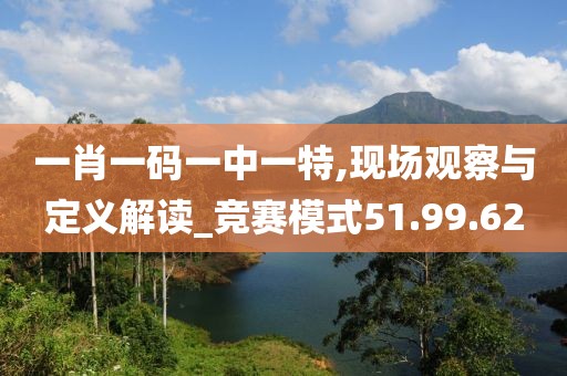 一肖一碼一中一特,現(xiàn)場(chǎng)觀察與定義解讀_競(jìng)賽模式51.99.62