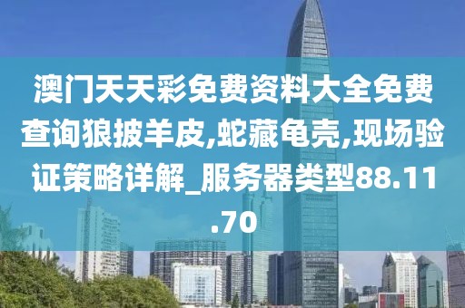 澳門天天彩免費資料大全免費查詢狼披羊皮,蛇藏龜殼,現場驗證策略詳解_服務器類型88.11.70