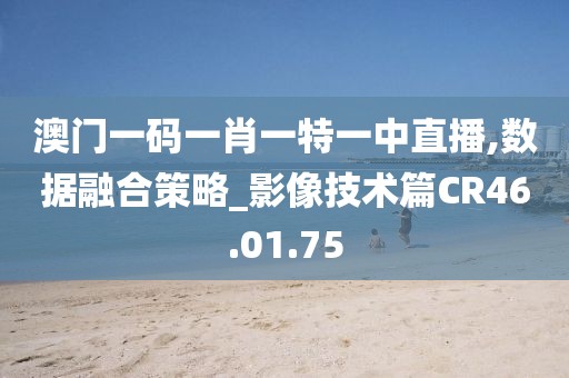 澳門一碼一肖一特一中直播,數(shù)據(jù)融合策略_影像技術(shù)篇CR46.01.75