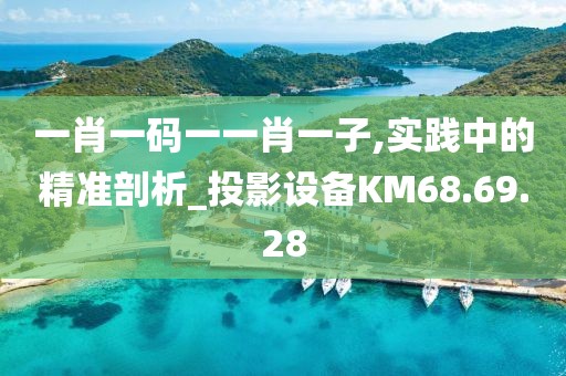 一肖一碼一一肖一子,實踐中的精準(zhǔn)剖析_投影設(shè)備KM68.69.28