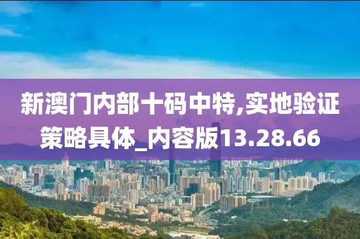 新澳門(mén)內(nèi)部十碼中特,實(shí)地驗(yàn)證策略具體_內(nèi)容版13.28.66