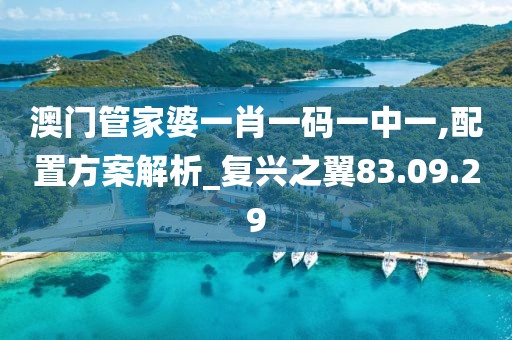 澳門管家婆一肖一碼一中一,配置方案解析_復(fù)興之翼83.09.29